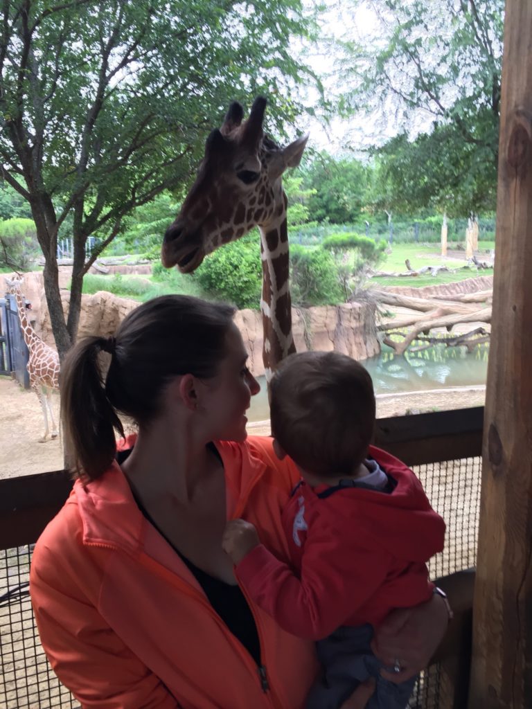 Sunday funday with a giraffe at the zoo